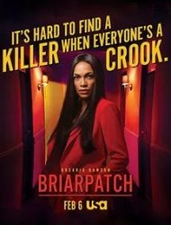 Briarpatch Saison 1 en streaming