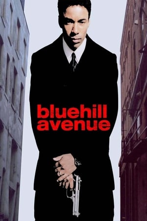 Blue Hill Avenue